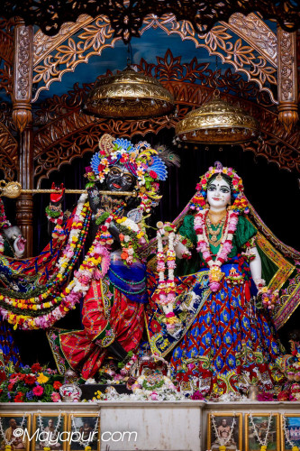 Daily Darshan