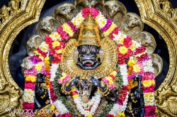 Daily Darshan
