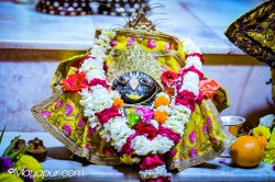 Daily Darshan