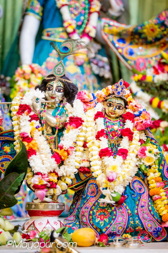 Daily Darshan