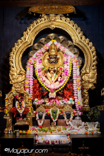 Daily Darshan