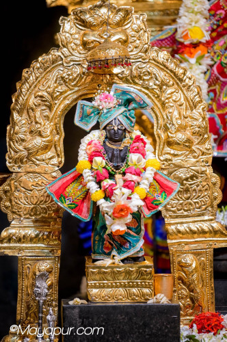 Daily Darshan