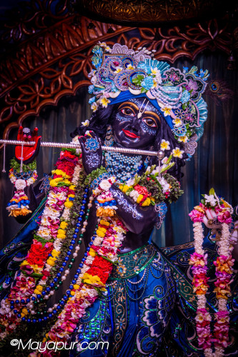 Daily Darshan