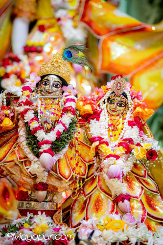Daily Darshan