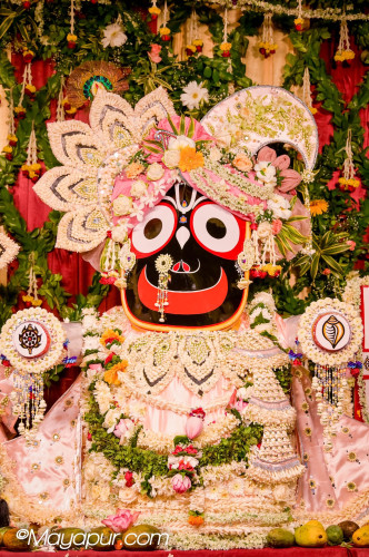 Daily Darshan