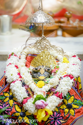 Daily Darshan