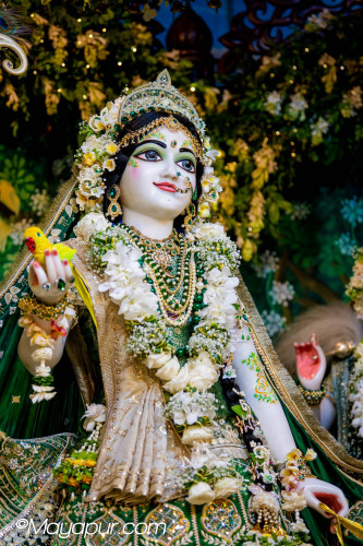 Daily Darshan