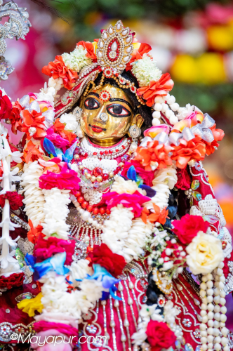 Daily Darshan