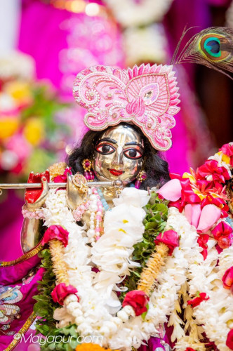 Daily Darshan