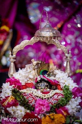 Daily Darshan