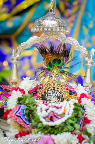 Daily Darshan