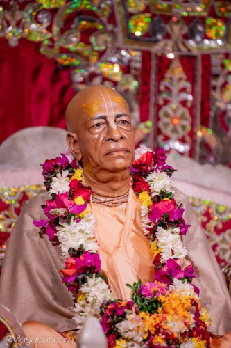 Daily Darshan