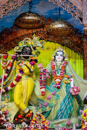 Daily Darshan