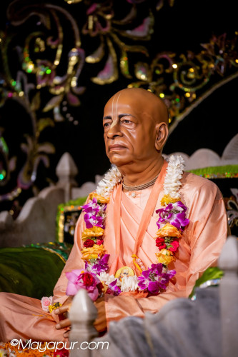 Daily Darshan
