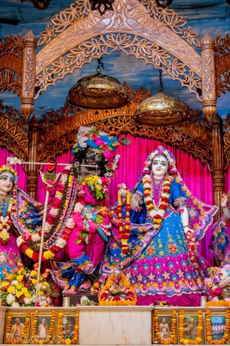 Daily Darshan