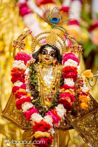 Daily Darshan