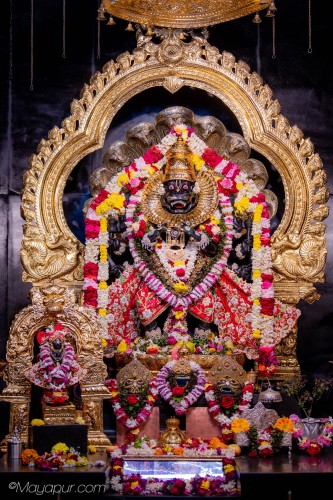Daily Darshan