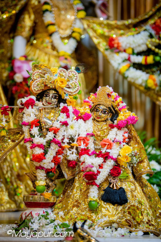 Daily Darshan