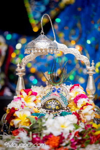 Daily Darshan