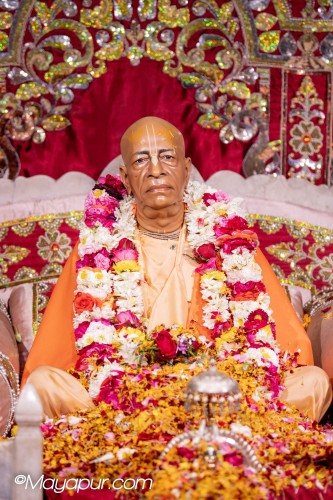 Daily Darshan