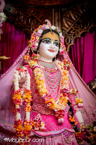 Daily Darshan