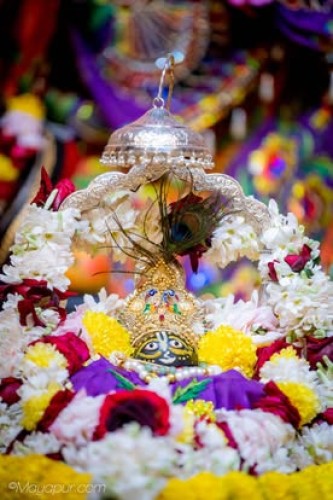 Daily Darshan