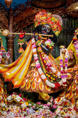 Daily Darshan
