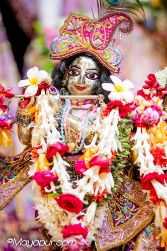 Daily Darshan