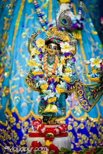 Daily Darshan