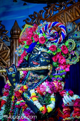 Daily Darshan