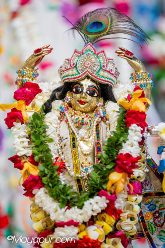 Daily Darshan