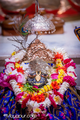 Daily Darshan