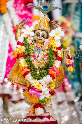 Daily Darshan
