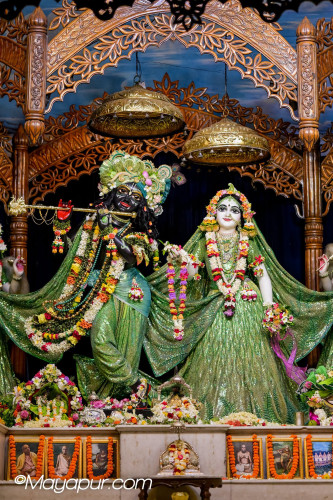Daily Darshan