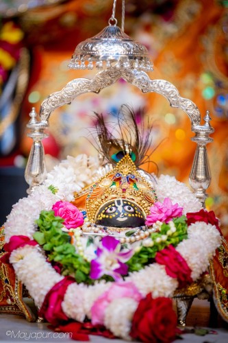 Daily Darshan
