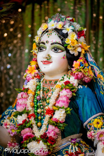 Daily Darshan