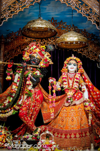 Daily Darshan