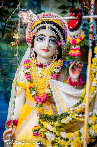 Daily Darshan