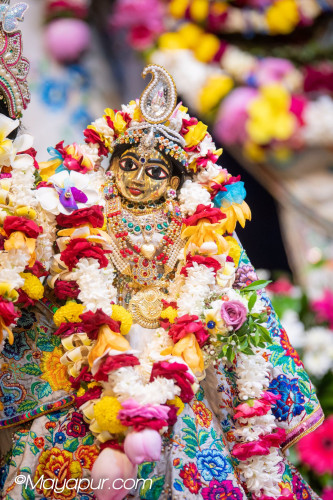 Daily Darshan