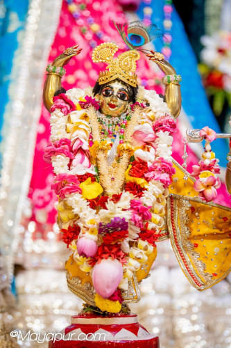 Daily Darshan