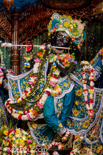 Daily Darshan