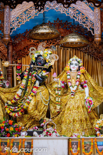 Daily Darshan
