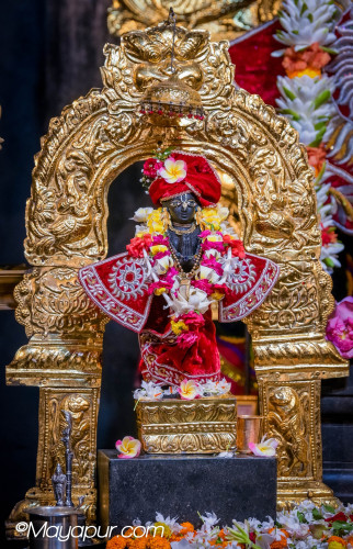 Daily Darshan