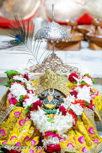 Daily Darshan