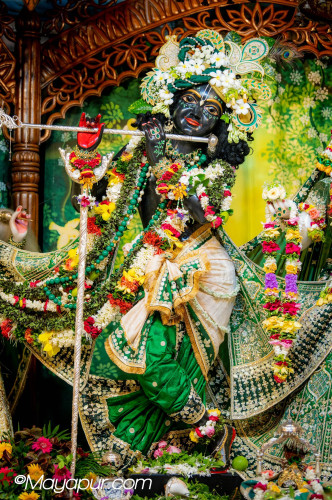 Daily Darshan