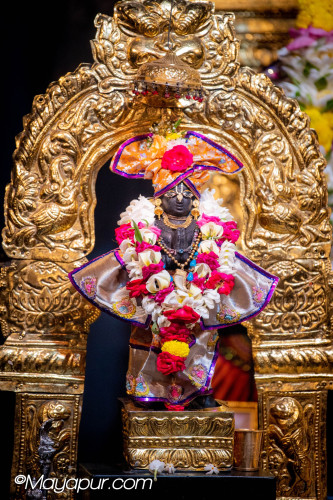 Daily Darshan
