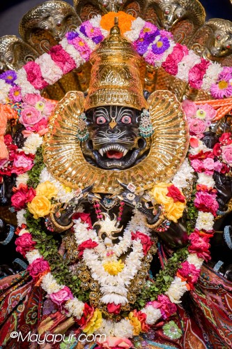 Daily Darshan