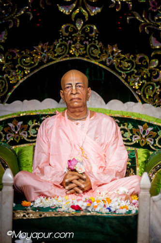Daily Darshan