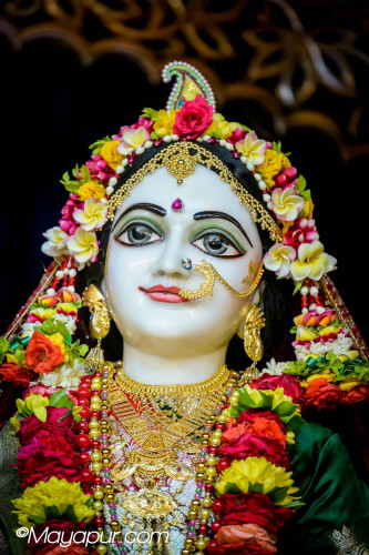 Daily Darshan