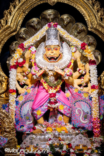 Daily Darshan
